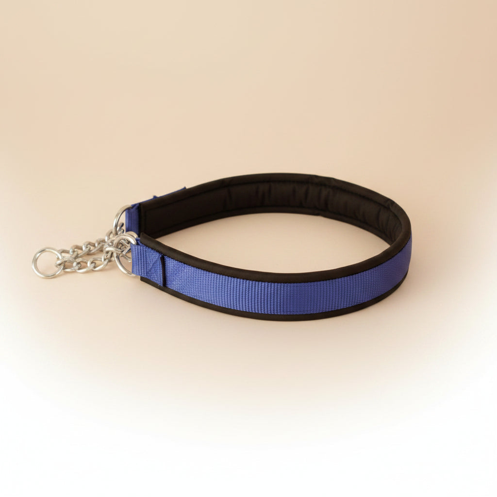 COLLAR NYLON/METAL AZUL