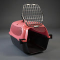 TRANSPORTIN PLASTICO MASCOTA SD
