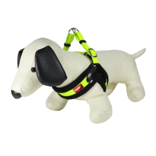 ARNES_DOG_VEST