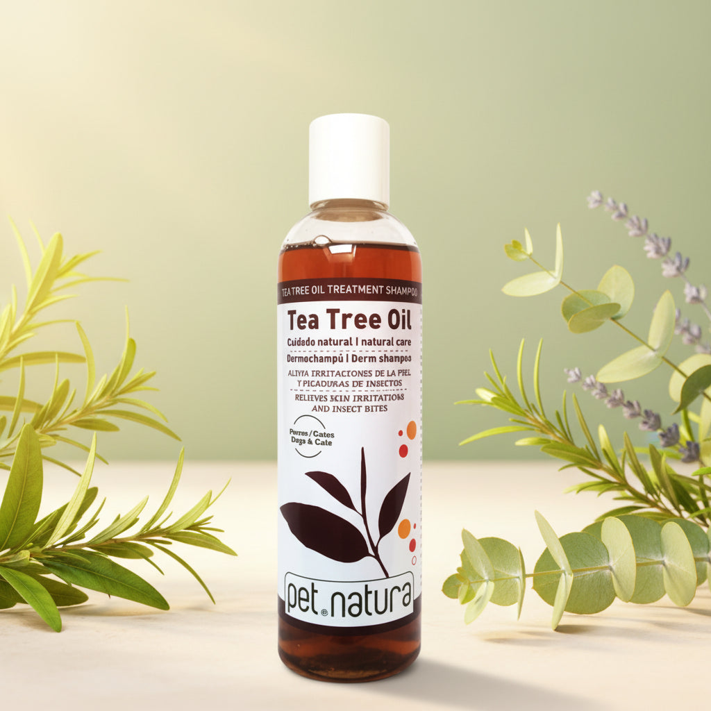 CHAMPU DERMO TEA TREE OIL