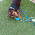 Yako jugando con juguete