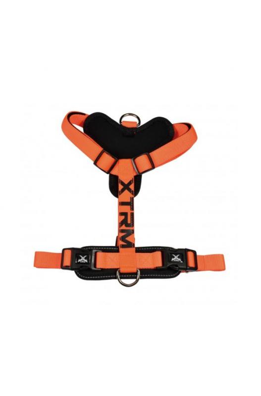 ARNES X-TRM Cronos Neon Flash. Naranja Y Negro 35-60cm. x 15mm