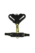arnes-perro-xtrm-cronos-neon-flash