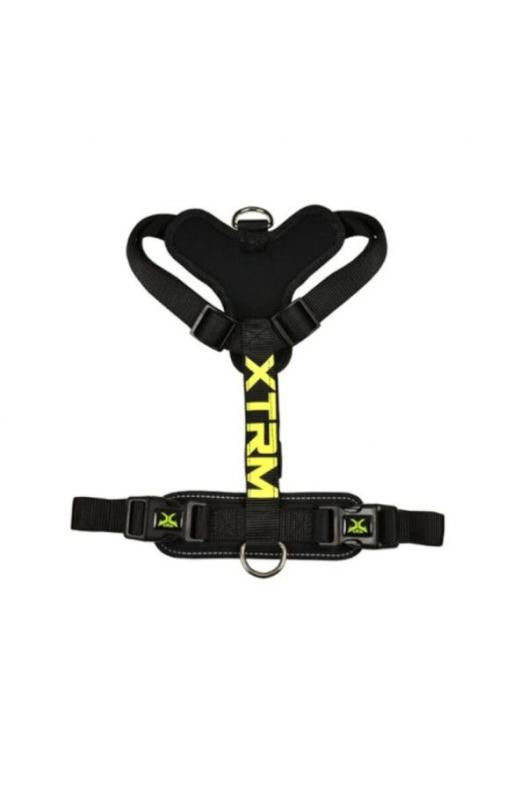 arnes-perro-xtrm-cronos-neon-flash