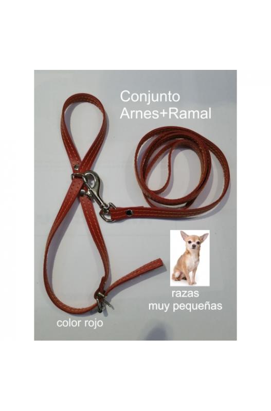 ARNES Y AMARRE RAZAS PEQUEÑAS