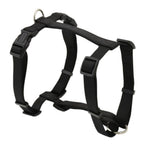 ARNES BASIC EN H NEGRO