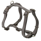 ARNES BASIC EN H  20mm. 46-75CM