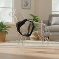 ARNES BASIC EN H NEGRO 15mm. 32-52CM y 10mm 23-37CM