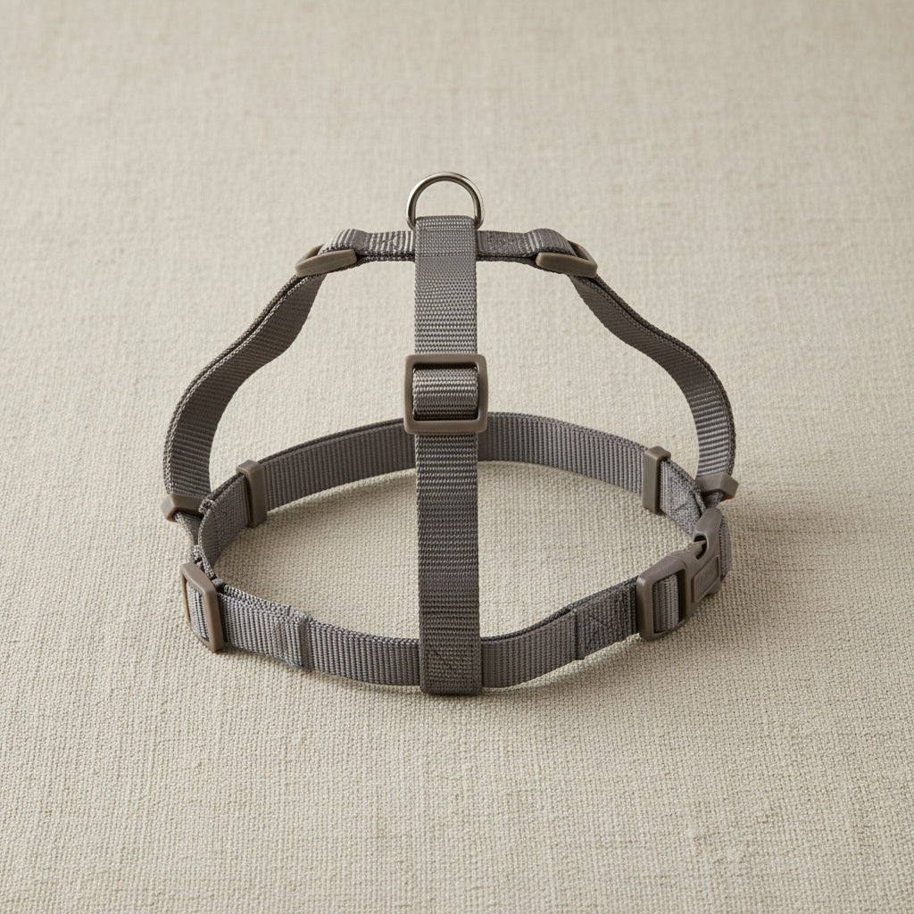 R -ARNES BASIC EN H VISON 20mm. 46-75CM Nayeco.