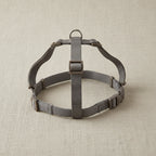 R -ARNES BASIC EN H VISON 20mm. 46-75CM Nayeco.