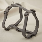 R -ARNES BASIC EN H VISON 10mm. 23-37CM Nayeco.