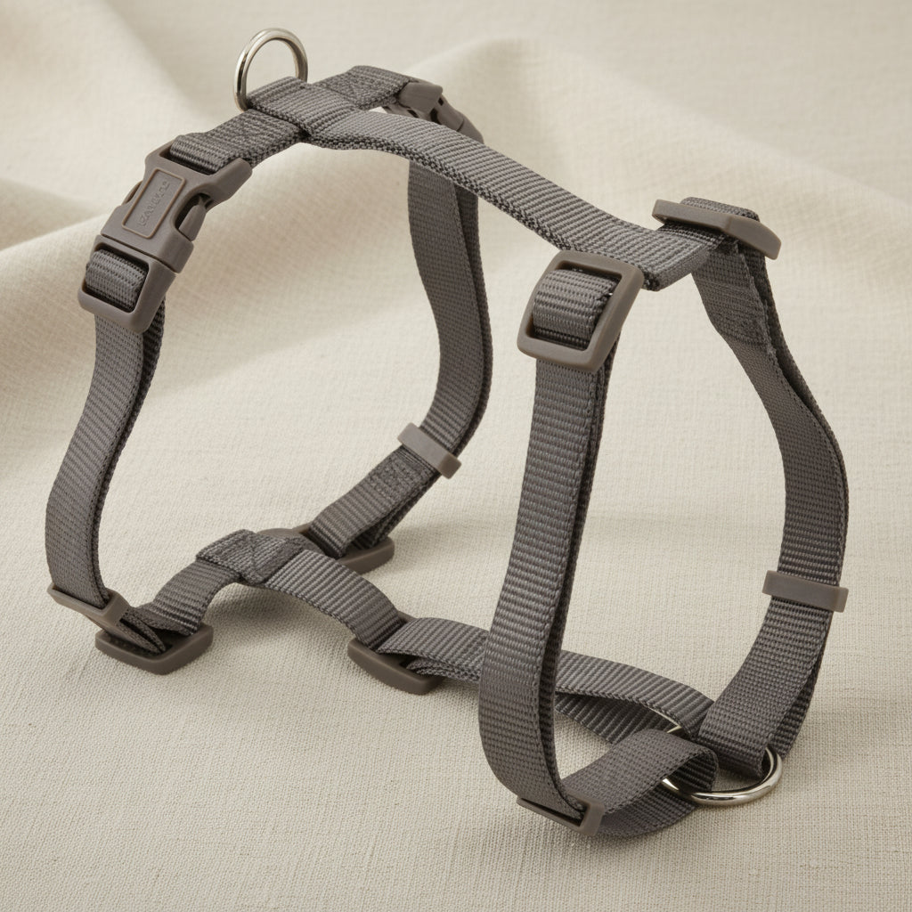 R -ARNES BASIC EN H VISON 10mm. 23-37CM Nayeco.