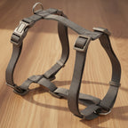 R -ARNES BASIC EN H VISON 15mm. 32-52CM Nayeco.