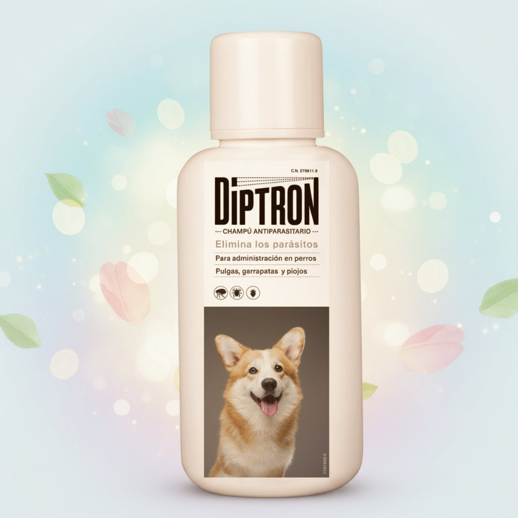 champu diptron