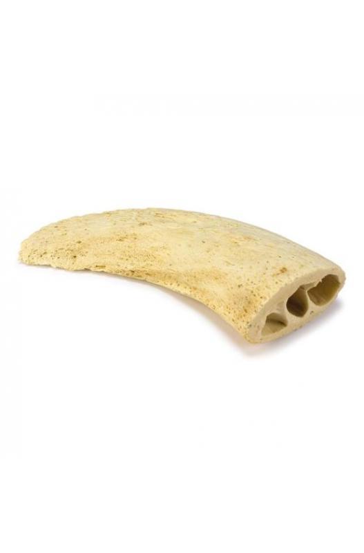Núcleo de cuerno (Bolsa 1 unidad)