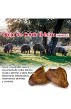 OREJAS de Cerdo IBERICO X-Large +60gr. Bolsa 30 Uds.