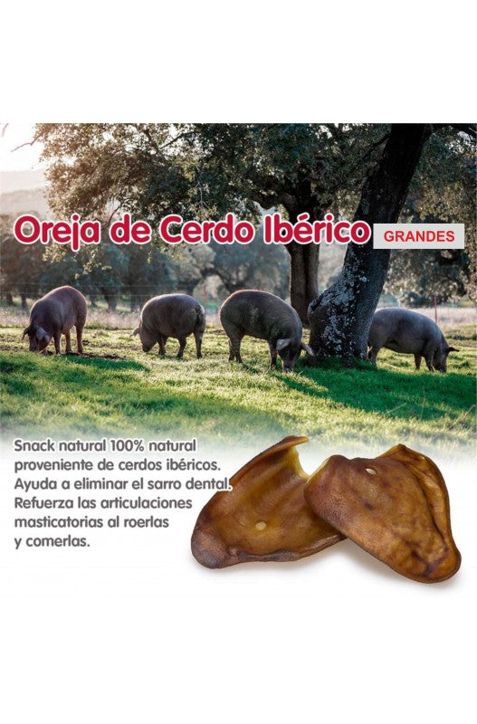 OREJAS de Cerdo IBERICO X-Large +60gr. Bolsa 30 Uds.
