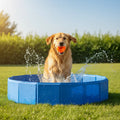 perro jugando con pack-piscina-y-pelota-chuckit