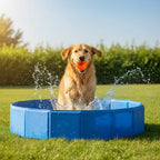 perro jugando con pack-piscina-y-pelota-chuckit