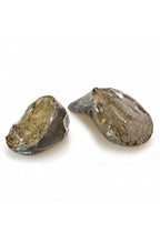 Pezuña de Búfalo rellena de Higado.Envase individual