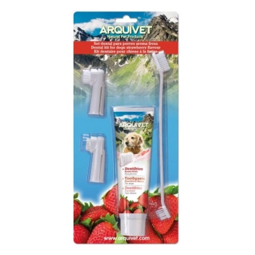 set_dental_sabor_fresa_arquivet